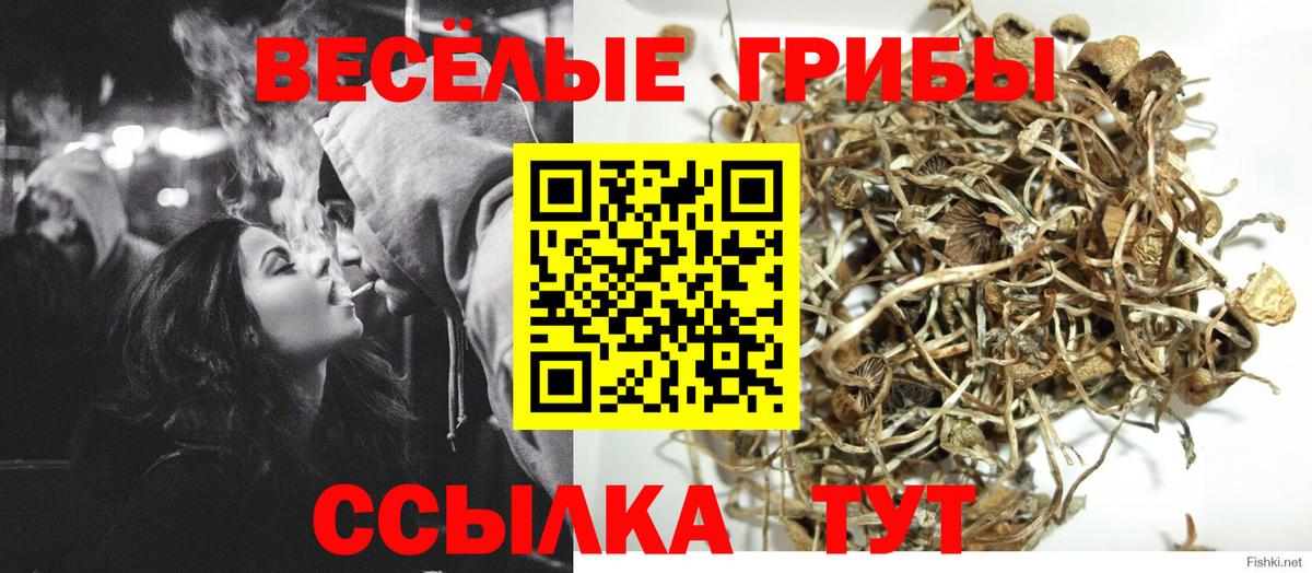 Псилоцибиновые грибы Psilocybe Жигулёвск