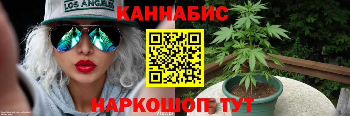 Бошки Шишки тримм  Конопля сатива  Вход с VPN  Жигулёвск  Бошки Шишки OG Kush  Бошки Шишки марихуана 